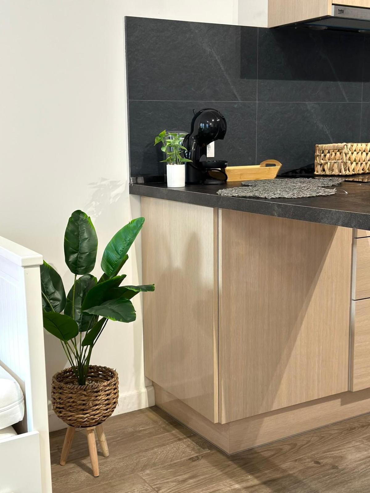 Central Park Apartment Κλουζ-Ναπόκα Εξωτερικό φωτογραφία