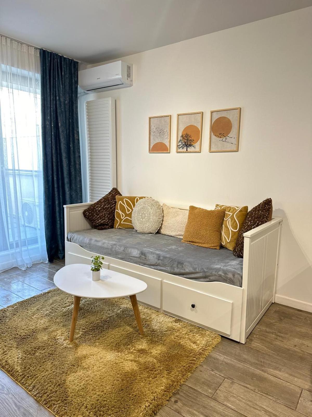 Central Park Apartment Κλουζ-Ναπόκα Εξωτερικό φωτογραφία